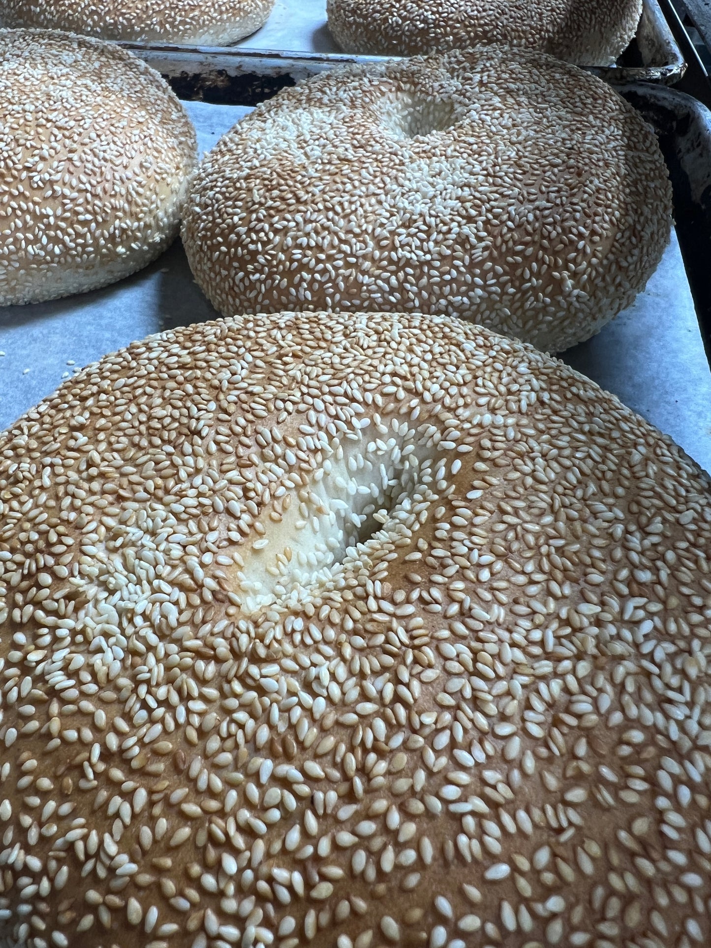 Jerusalem Bagel (Flat)(2-Pack)
