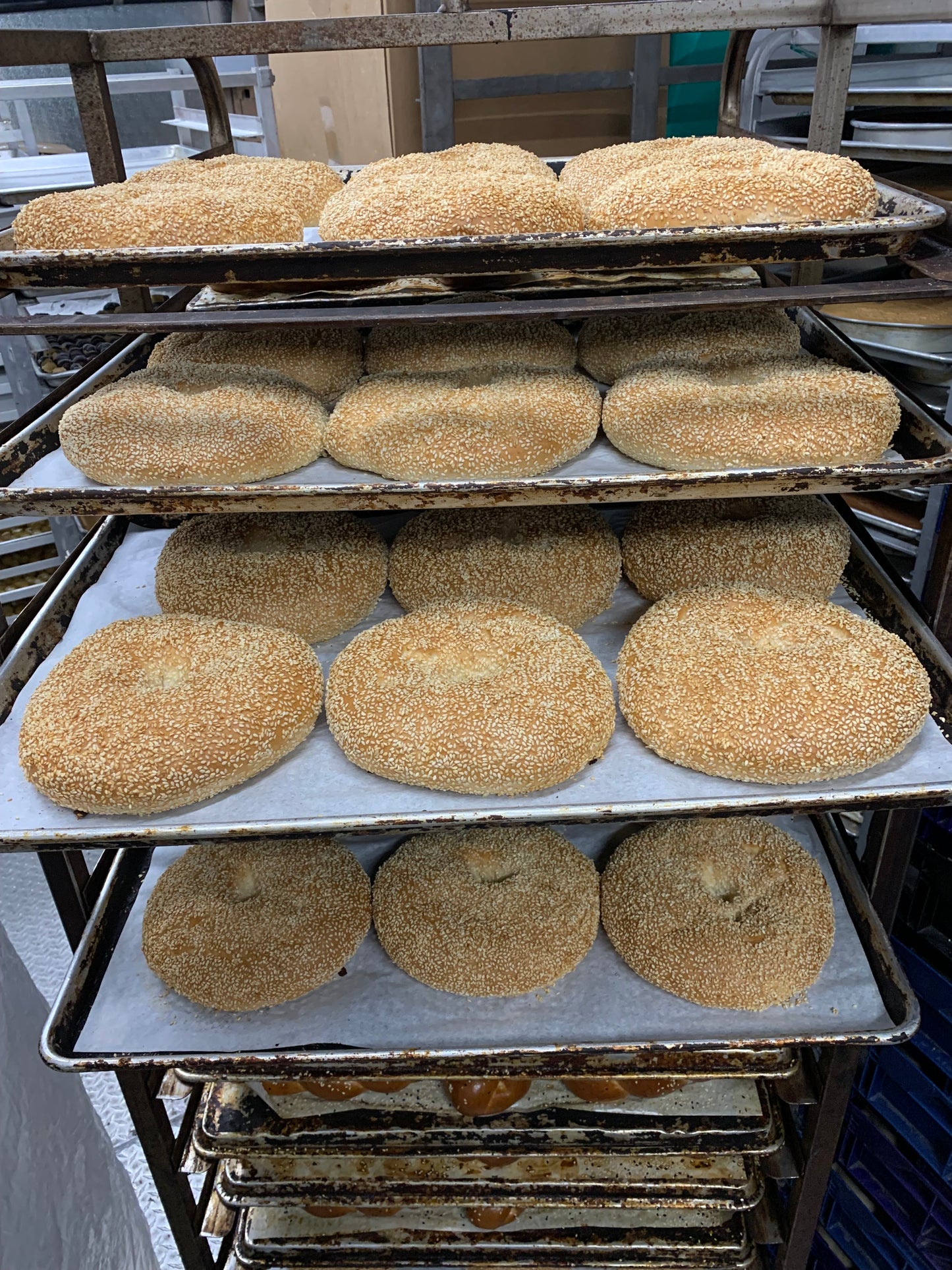 Jerusalem Bagel (Flat)(2-Pack)