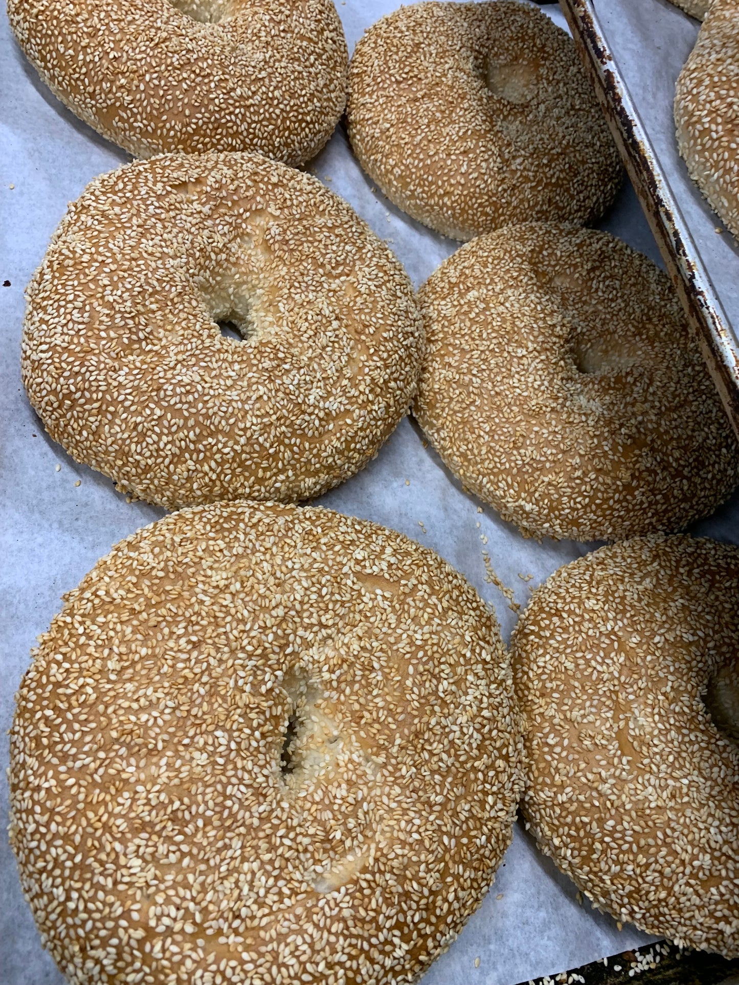 Jerusalem Bagel (Flat)(2-Pack)